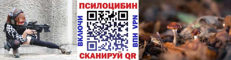 Галлюциногенные грибы Psilocybe  Славянск-на-Кубани 